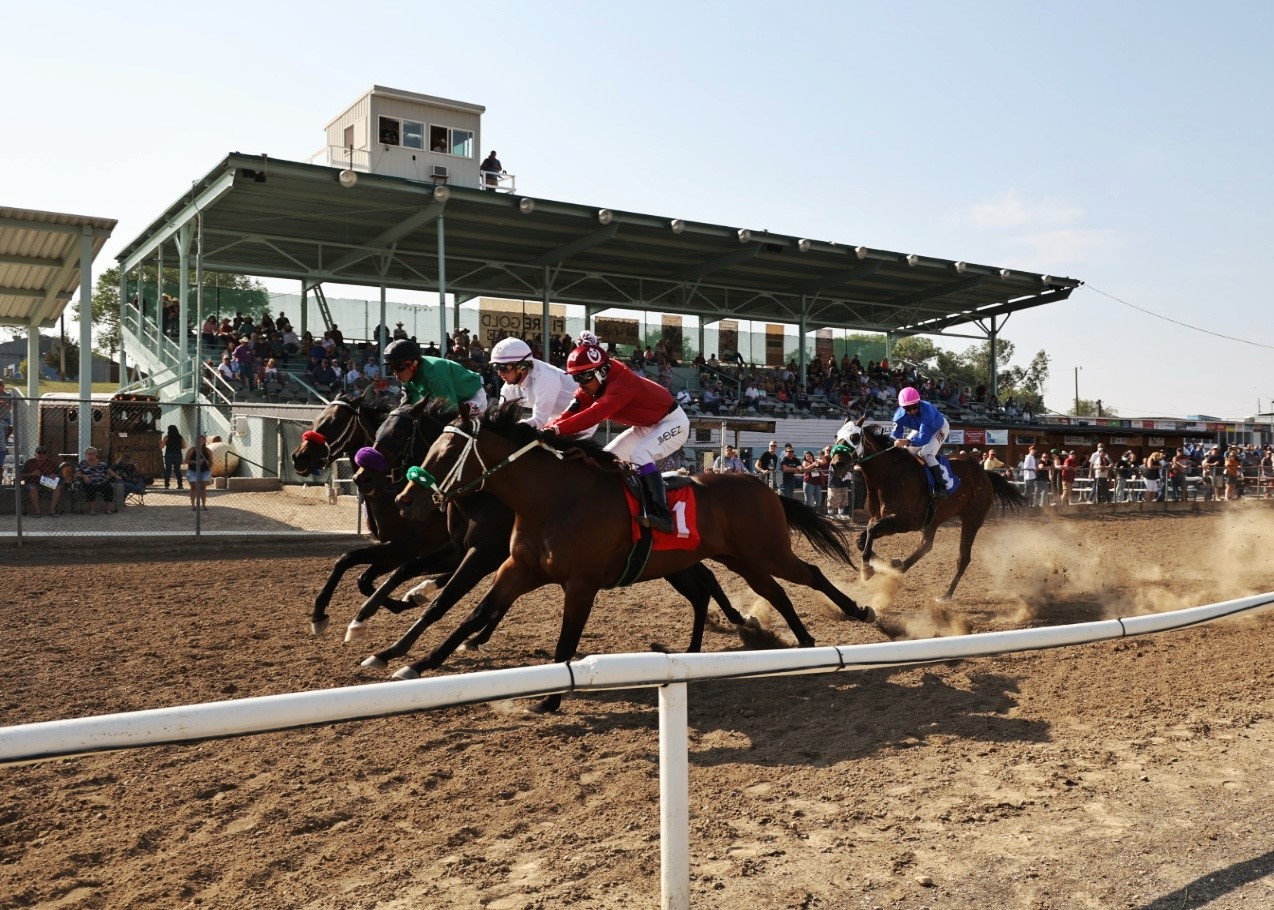 2024 County Fair and Horse Races To Ely